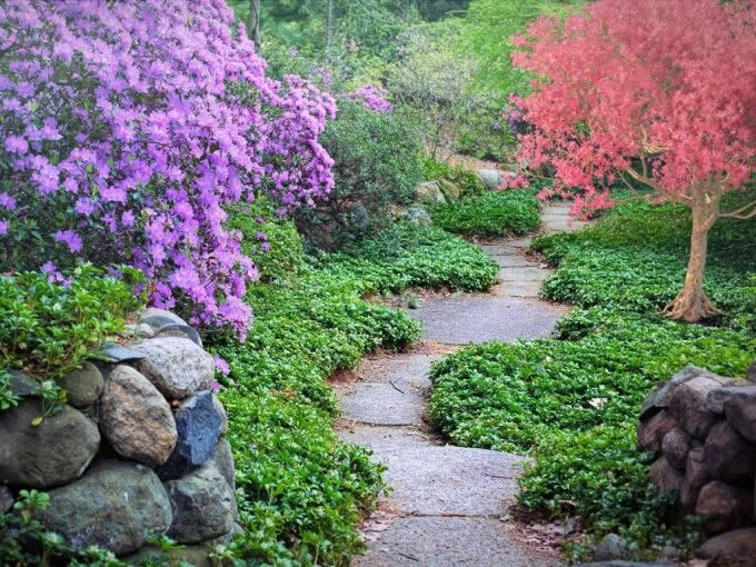 Green Days Giardini Realizzazione giardini Orta San Giulio: preventivo, offerta, prezzo